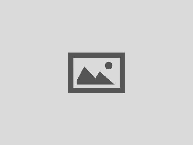 Shane Edwards-profile-image